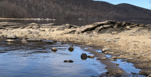 Shoreline Management