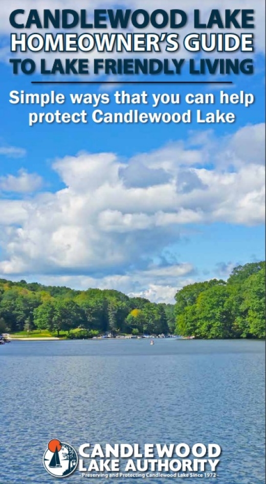 What Homeowners Need to know