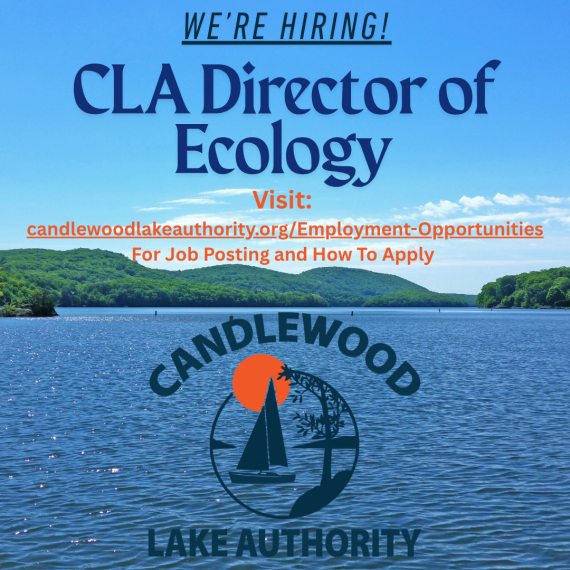 We&rsquo;re_Hiring!.png