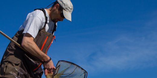 Eurasian Watermilfoil Control